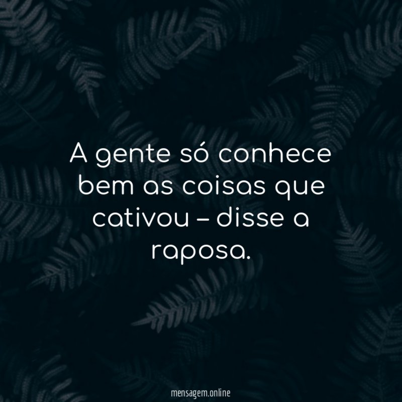 A gente só conhece bem as coisas que cativou – disse a raposa