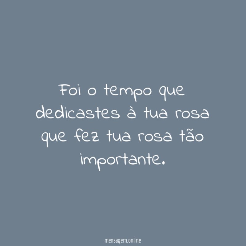 Foi o tempo que dedicastes à tua rosa