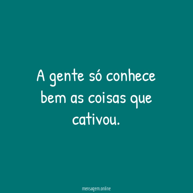 A gente só conhece bem as coisas que cativou