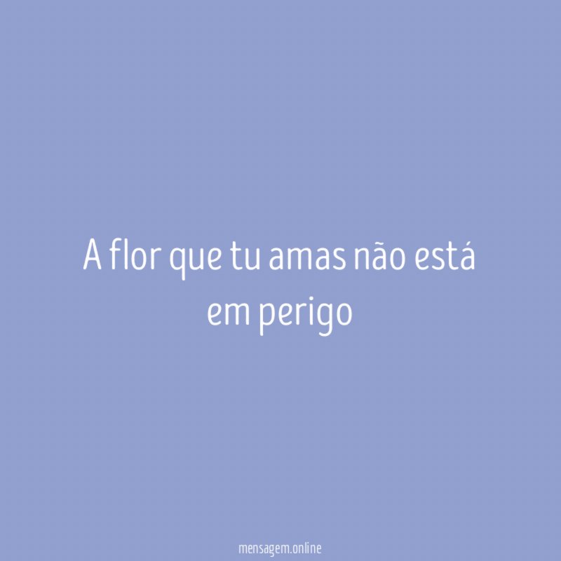 A flor que tu amas não está em perigo