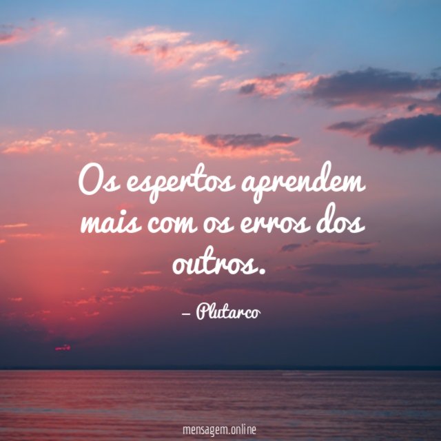 Os espertos aprendem mais com os erros dos outros