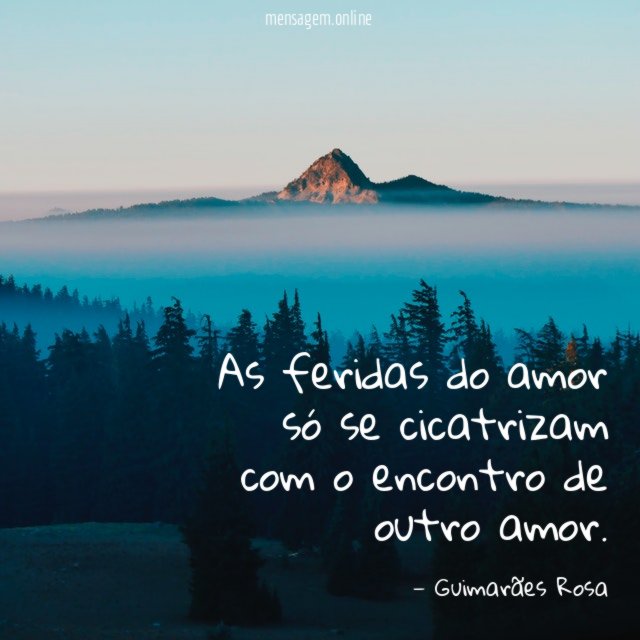 As feridas do amor só se cicatrizam com