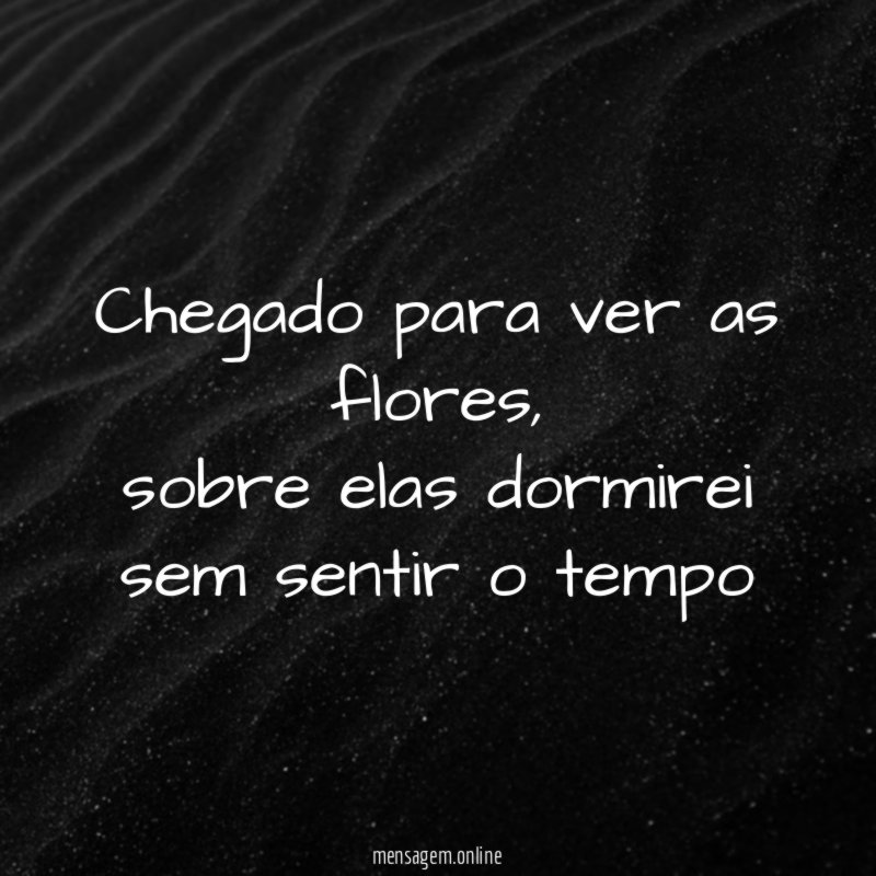 chegado para ver as flores