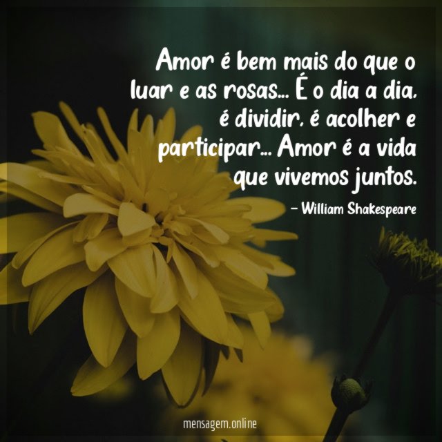 Amor é bem mais do que o luar e as rosas