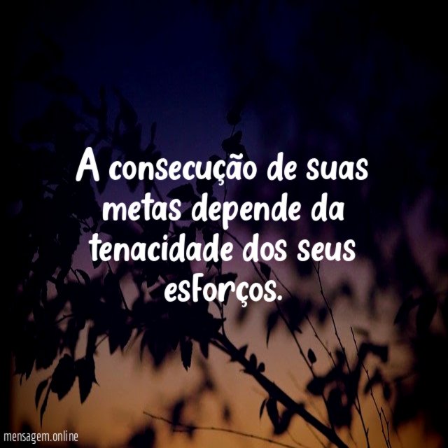A consecução de suas metas depende da tenacidade