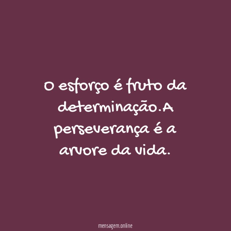 O esforço é fruto da determinação