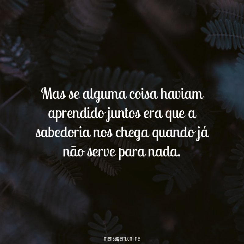 Mas se alguma coisa haviam aprendido juntos era
