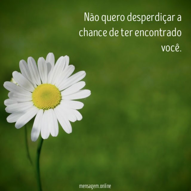 Não quero desperdiçar a chance de ter encontrado você