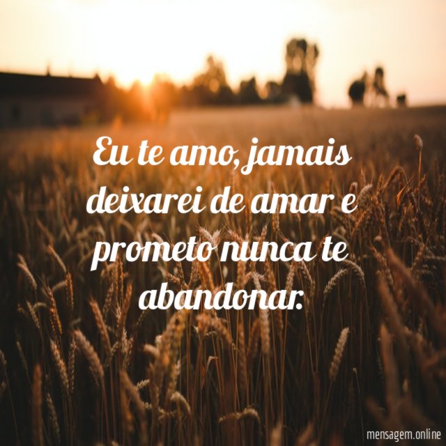 A Promessa do Amor e Abandono