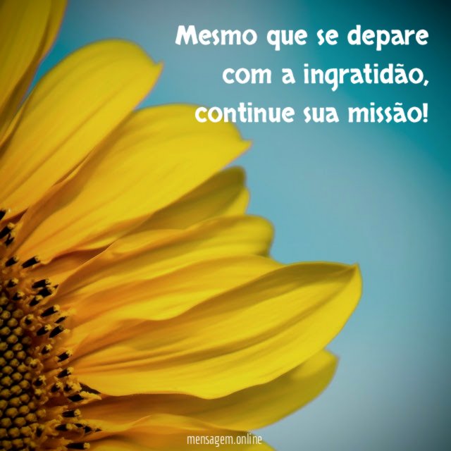 Mesmo que se depare com a ingratidão