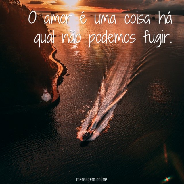 O amor é uma coisa há qual não podemos fugir