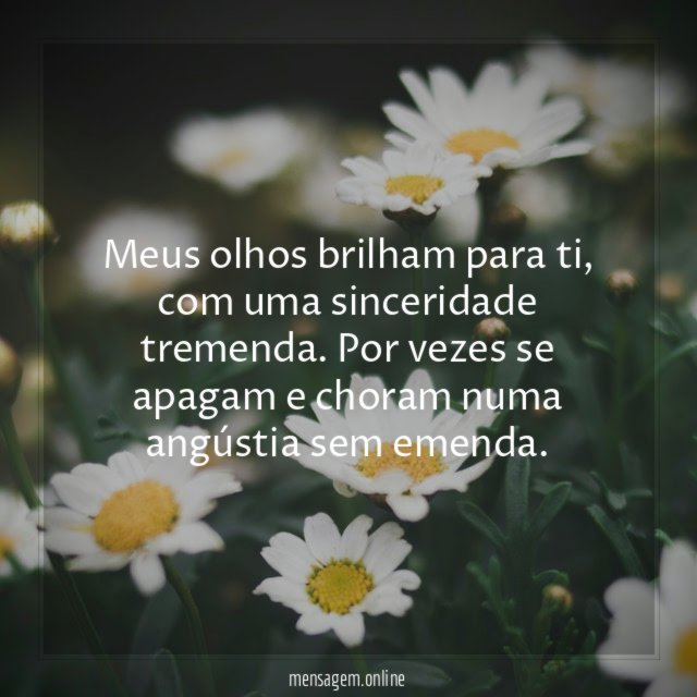 Meus olhos brilham para ti