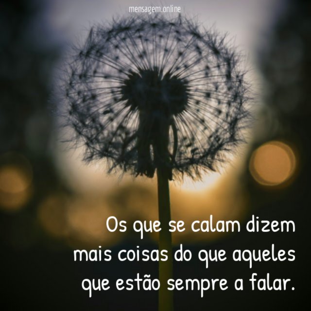 Os que se calam dizem mais coisas do