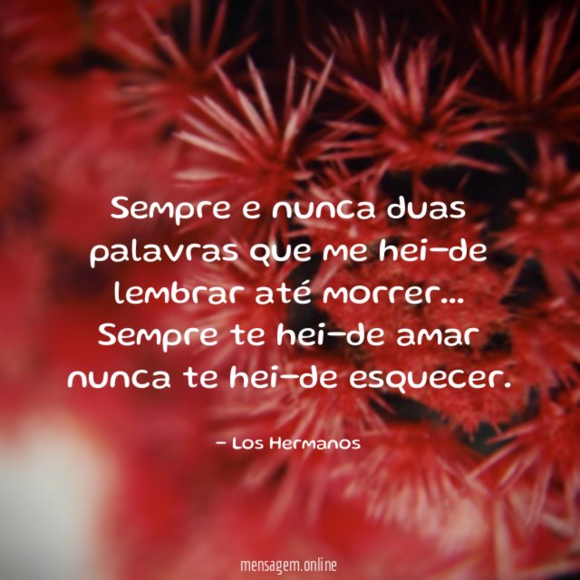Sempre e nunca duas palavras que me hei-de lembrar até morrer