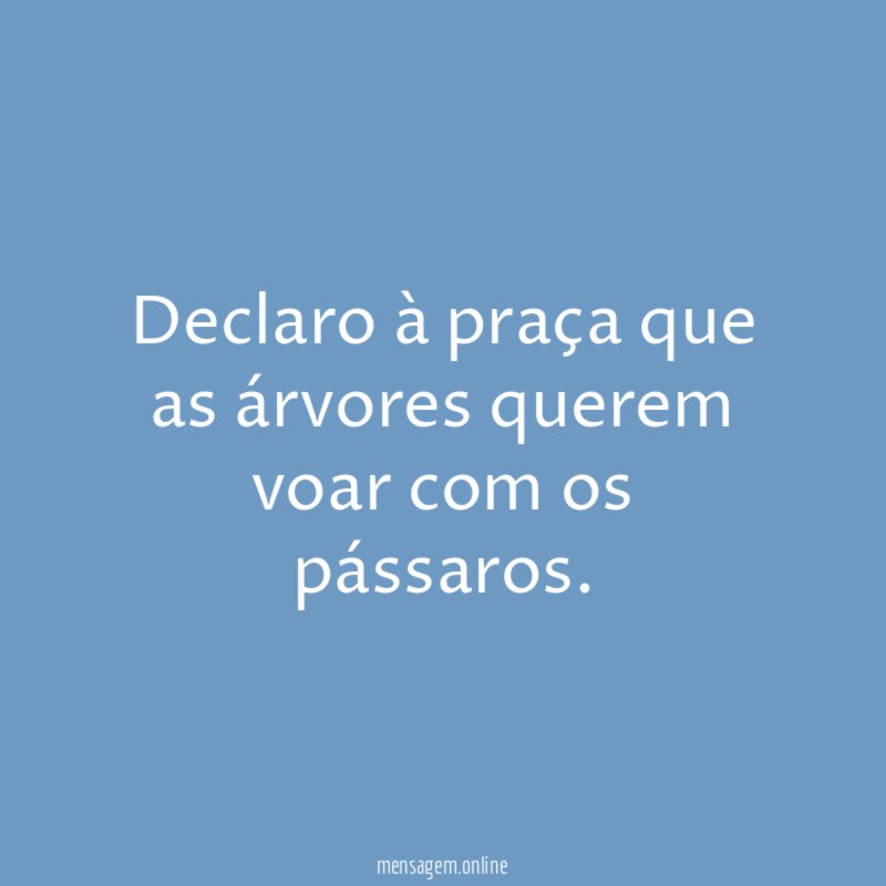Declaro à praça que as árvores querem voar com os pássaros