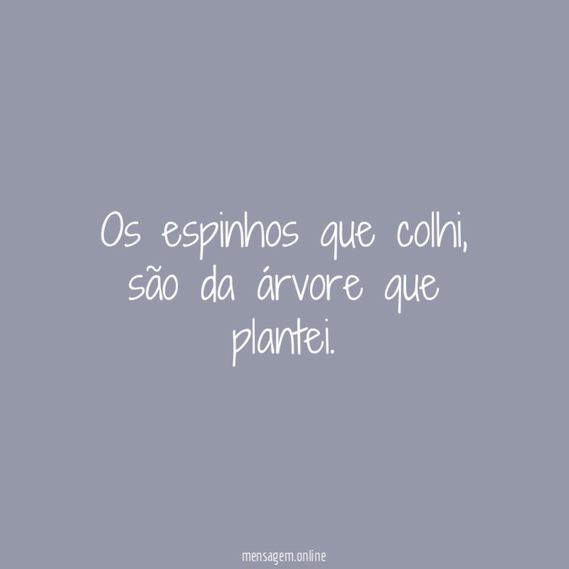 Os espinhos que colhi