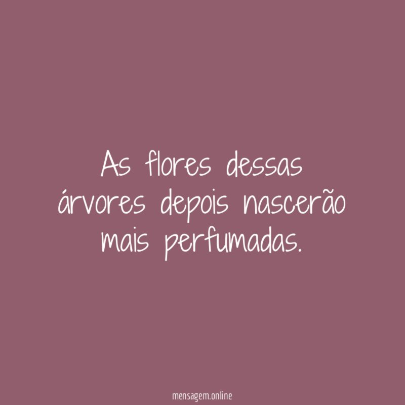 As flores dessas árvores depois nascerão mais perfumadas