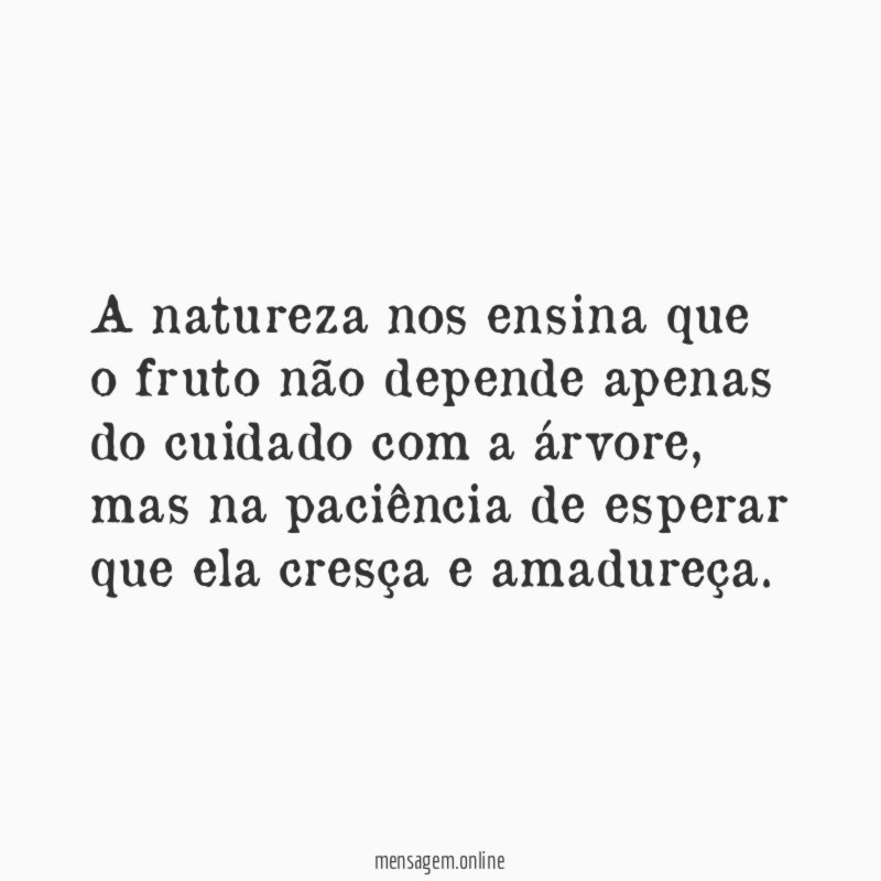 A natureza nos ensina que o fruto não