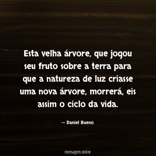 Esta velha árvore