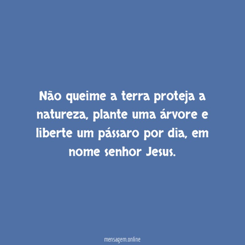 Não queime a terra proteja a natureza