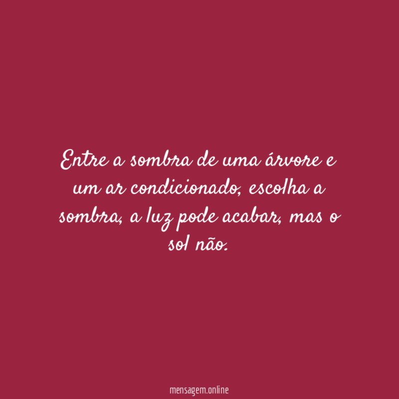 Entre a sombra de uma árvore e um ar condicionado