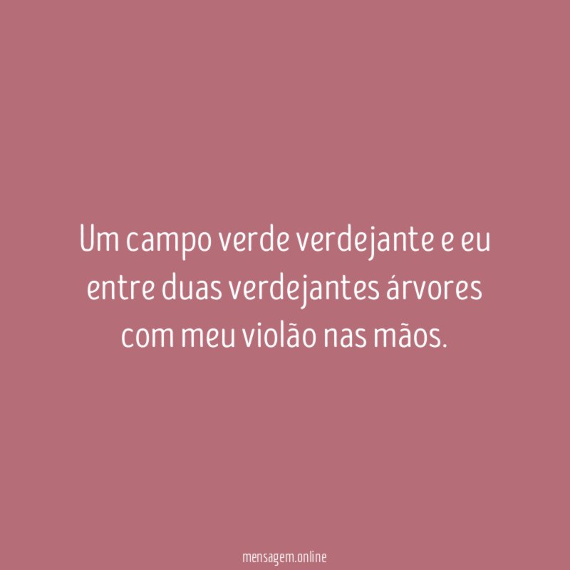 Um campo verde verdejante e eu entre duas
