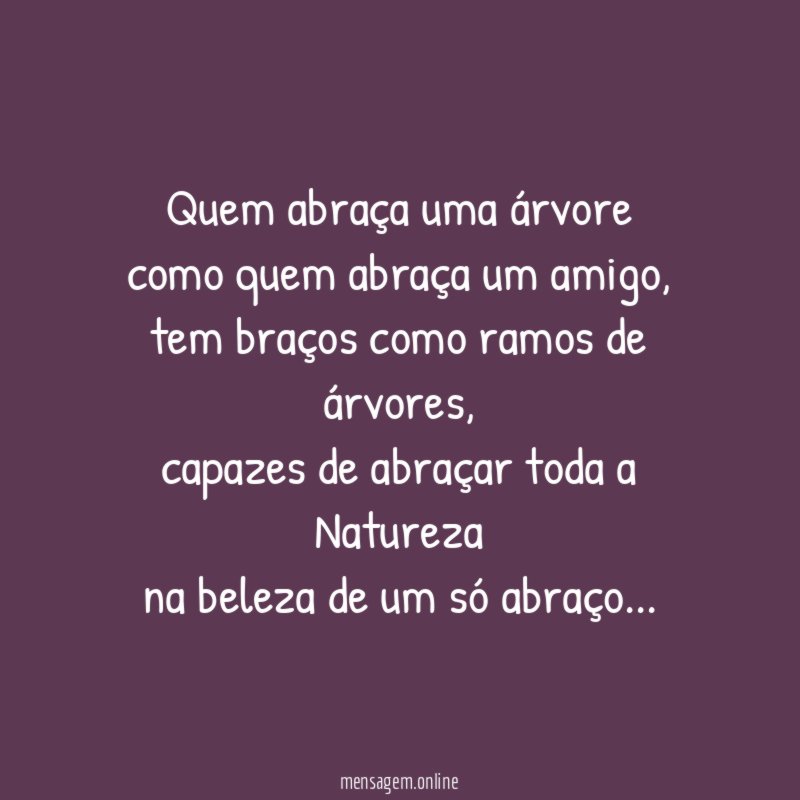 Quem abraça uma árvore como quem abraça um amigo