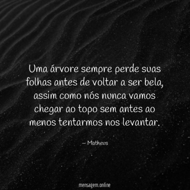 Uma árvore sempre perde suas folhas antes de voltar a ser bela