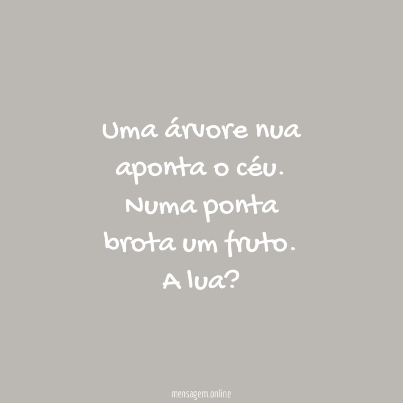 Uma árvore nua aponta o céu