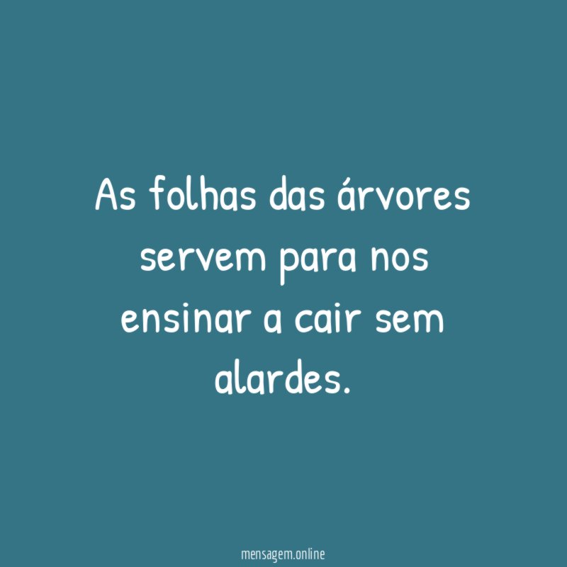 As folhas das árvores servem para nos ensinar a cair sem alardes