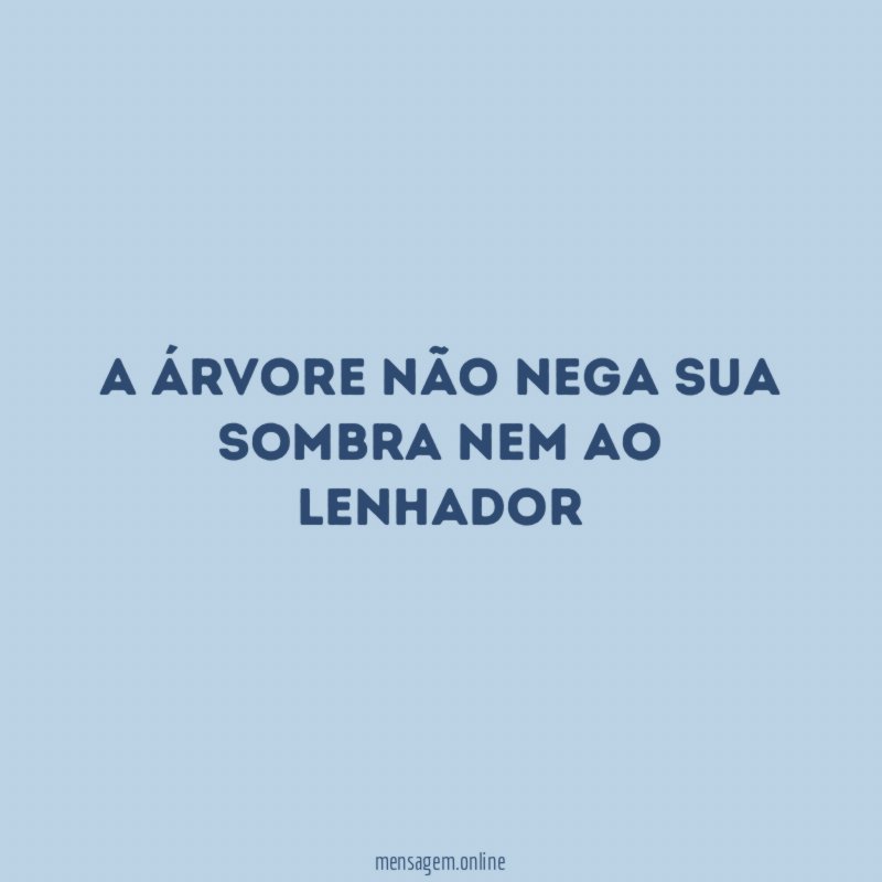 A Árvore não nega sua sombra nem ao lenhador"