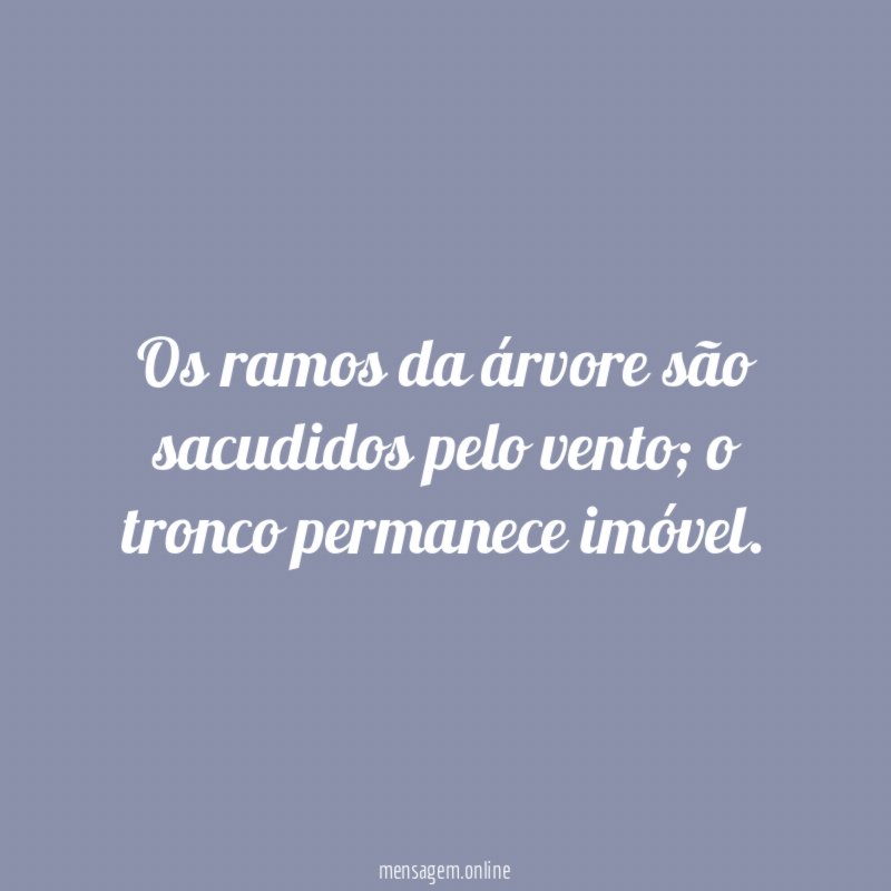 Os ramos da árvore são sacudidos pelo vento