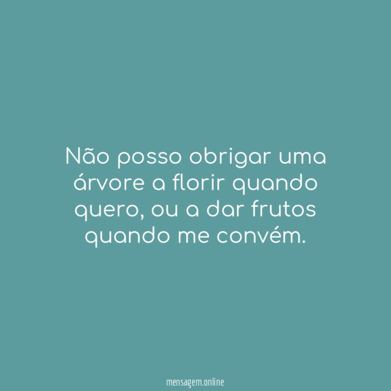 Não posso obrigar uma árvore a florir quando quero