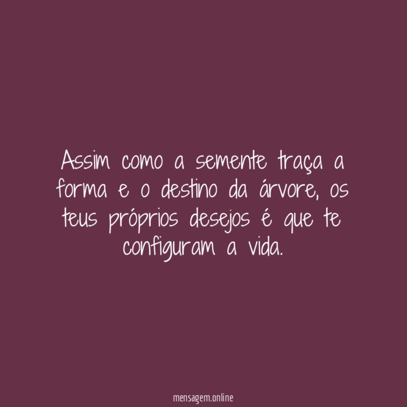 Assim como a semente traça a forma