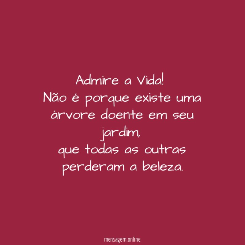 Admire a Vida