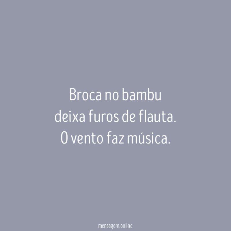 Broca no bambu deixa furos de flauta
