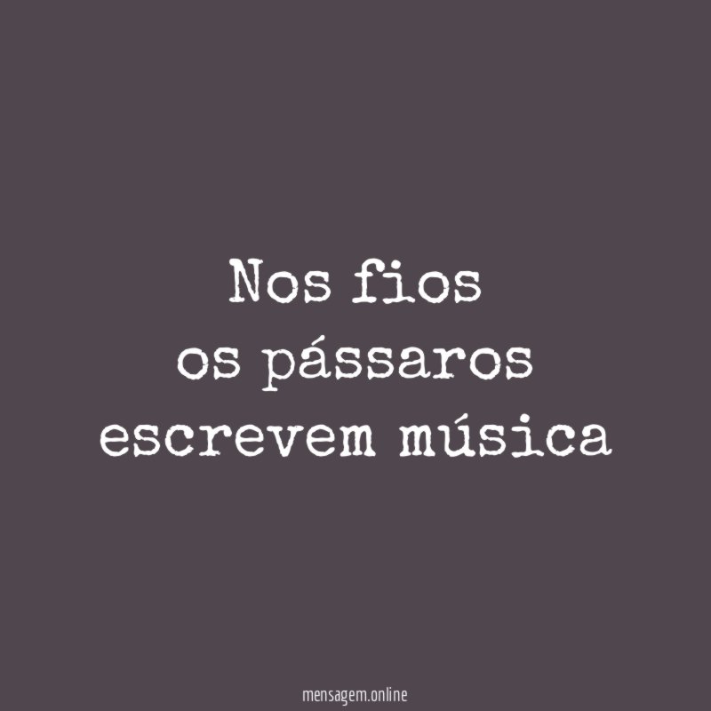 nos fios os pássaros escrevem música