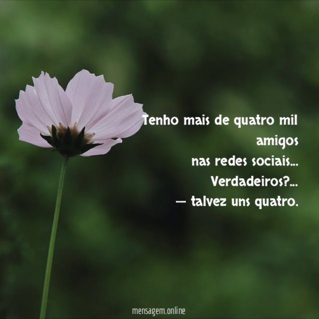 Tenho mais de quatro mil amigos nas redes sociais