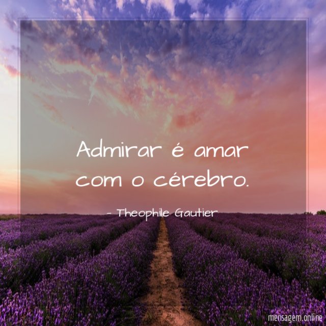 Admirar é amar com o cérebro