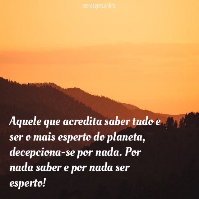 Aquele que acredita saber tudo e ser o mais esperto do planeta