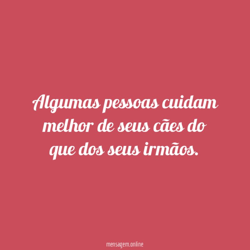 Algumas pessoas cuidam melhor de seus cães do
