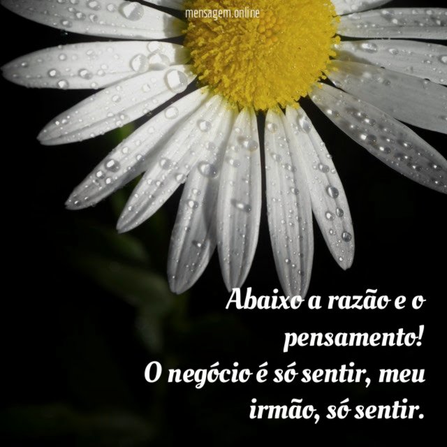 Abaixo a razão e o pensamento