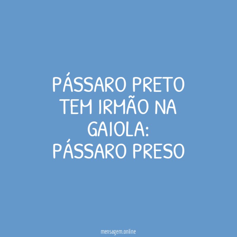 pássaro preto tem irmão na gaiola