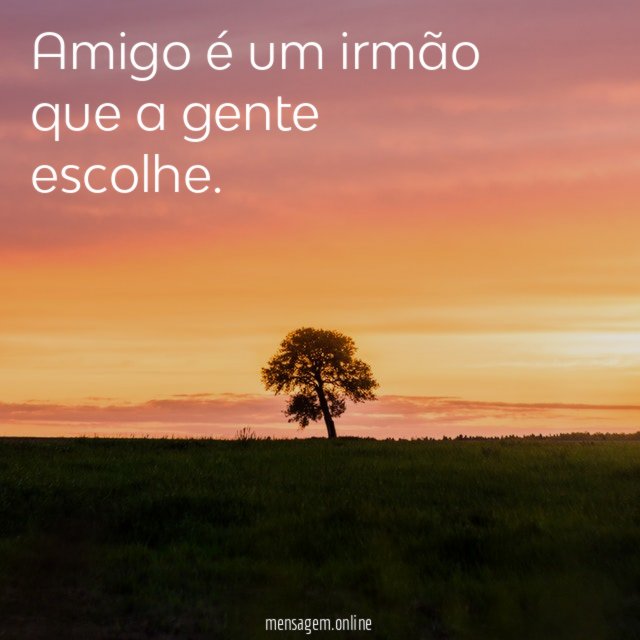 Amigo é um irmão que a gente escolhe