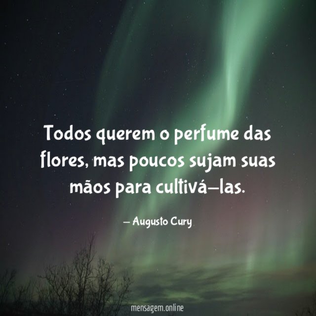 Todos querem o perfume das flores