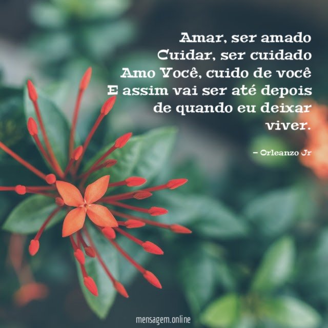 Amor Amar Ser amado Cuidar Ser cuidado Amo Você Cuido de Você E assim vai
