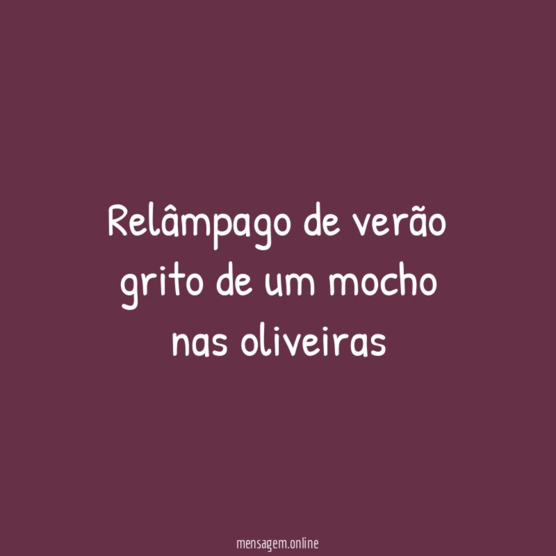 relâmpago de verão grito de um mocho nas oliveiras