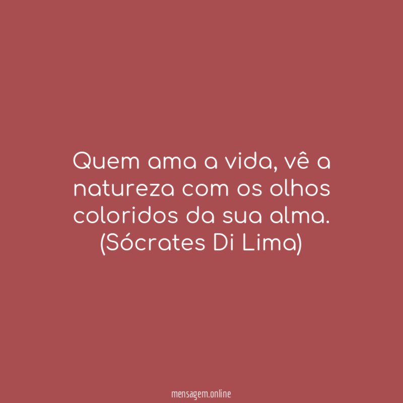 Quem ama a vida