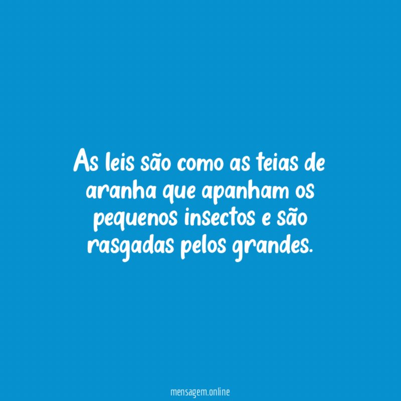 As leis são como as teias de aranha