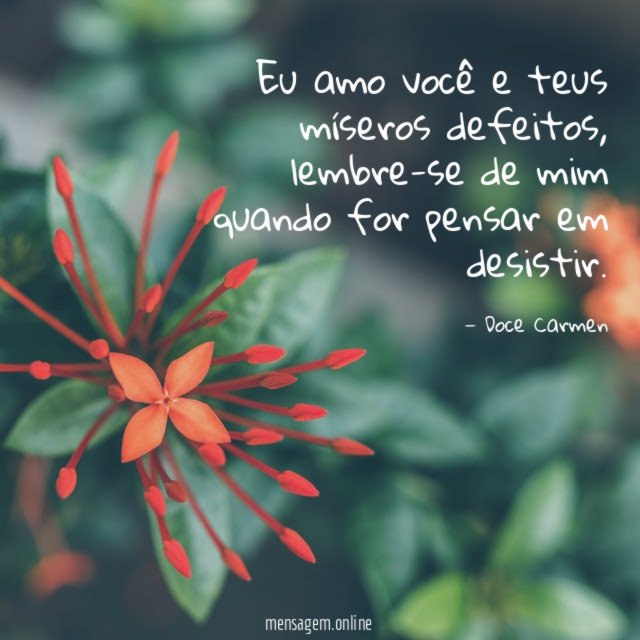 Eu amo você e teus míseros defeitos